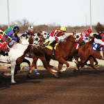 Breeders’ Cup 101: Here Are Must-Knows Before You Go