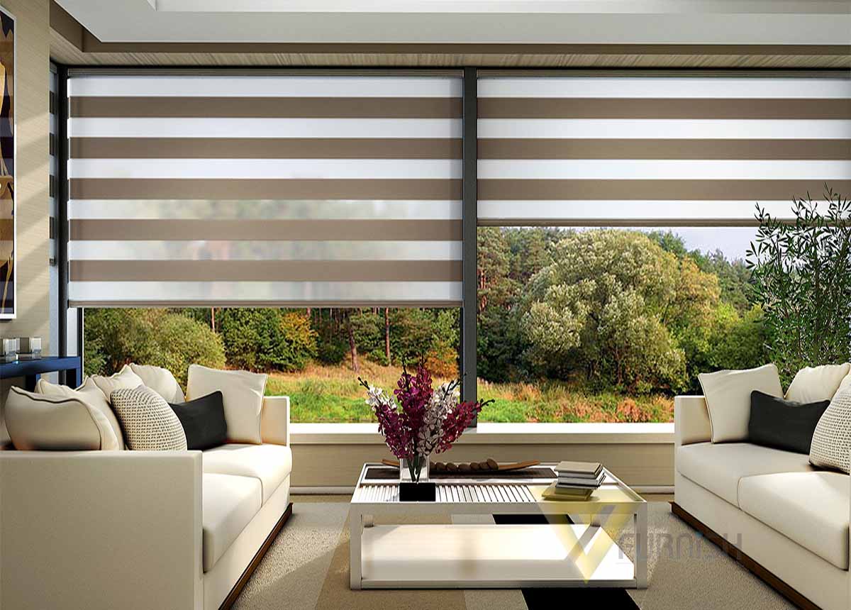 Zebra Blinds A Stylish Window Treatment Option