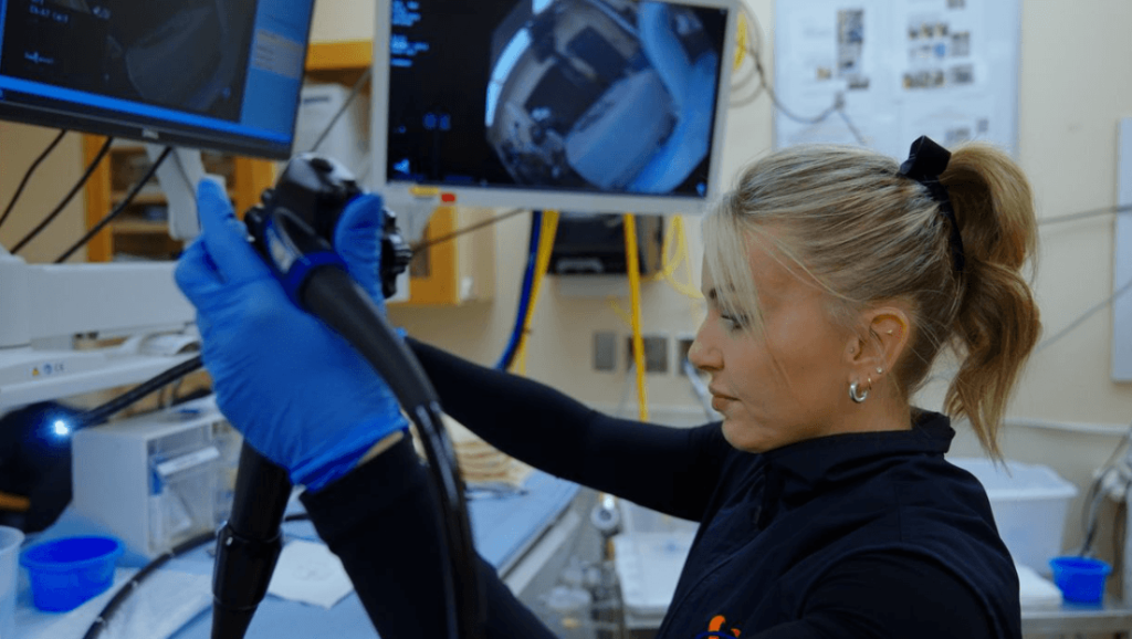 Fraser Health Expands AI-Assisted Colonoscopy Program to Enhance Cancer Detection