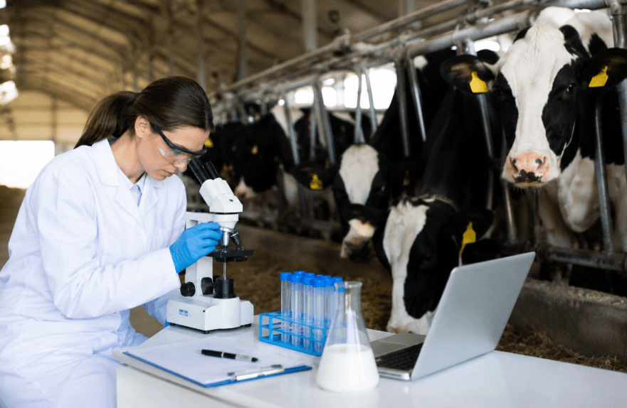 National Milk Producers Federation Announces 2026 Dairy Leadership Scholarship Recipients National Milk Producers Federation Announces 2026 Dairy Leadership Scholarship Recipients