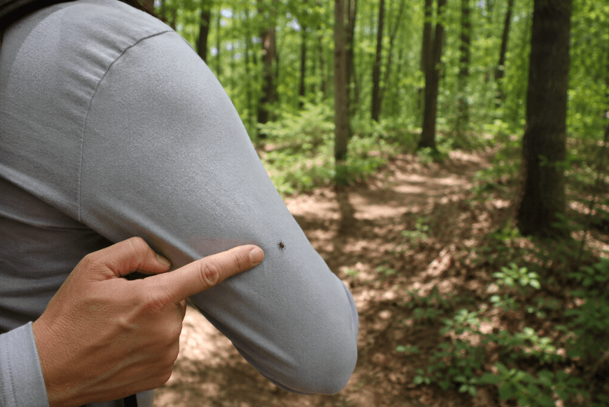 Ontario Urges Residents to Guard Against Tick Bites as Lyme Disease Cases Persist Ontario Urges Residents to Guard Against Tick Bites as Lyme Disease Cases Persist