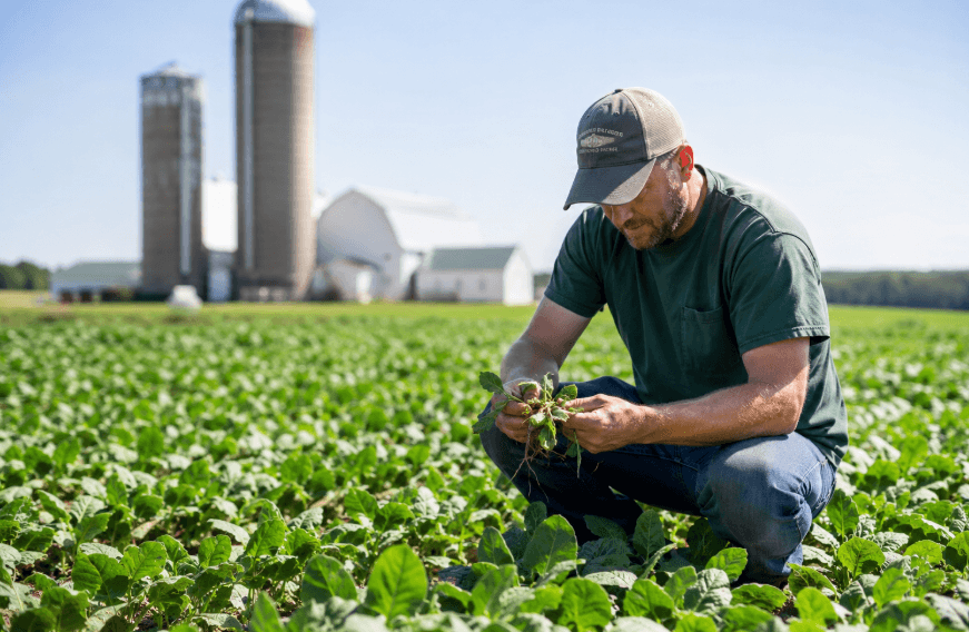 Ontario Opens Nominations for 2026 Excellence in Agriculture Awards to Honour Agri-Food Leaders Ontario Opens Nominations for 2026 Excellence in Agriculture Awards to Honour Agri-Food Leaders