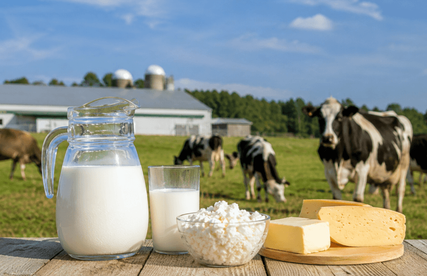 U.S. Dairy Industry Backs White House Action on Canadian Dairy Tariffs Amid USMCA Market Access Dispute U.S. Dairy Industry Backs White House Action on Canadian Dairy Tariffs Amid USMCA Market Access Dispute