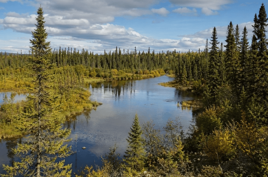 Ontario Commits Million to Protect More Than 200,000 Acres of Boreal Forest in Northern Ontario Ontario Commits Million to Protect More Than 200,000 Acres of Boreal Forest in Northern Ontario