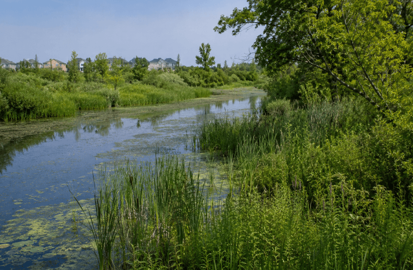Ontario Invests Nearly .2 Million in Brampton Wetland Restoration and Flood Protection Ontario Invests Nearly .2 Million in Brampton Wetland Restoration and Flood Protection