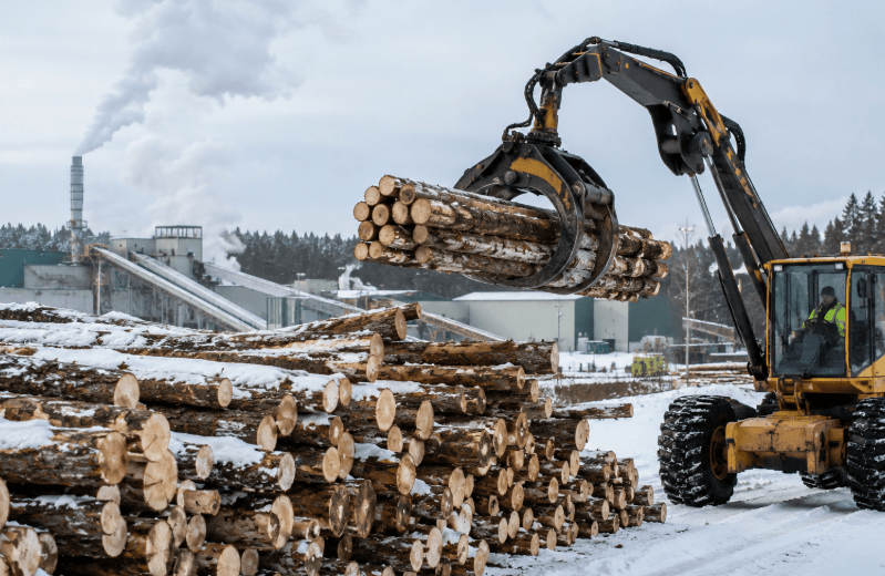 Ontario Invests More Than Million to Protect Northern Forestry Jobs and Modernize Mills Ontario Invests More Than Million to Protect Northern Forestry Jobs and Modernize Mills