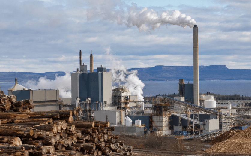 Ontario Invests More Than .5 Million in Thunder Bay Forestry Projects to Protect 4,000 Jobs Ontario Invests More Than .5 Million in Thunder Bay Forestry Projects to Protect 4,000 Jobs